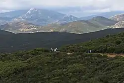 Laguna Mountain's chaparral habitat in foreground, Cuyamaca Mountains in background.