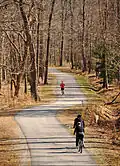 Cyclists and joggers on the greenway