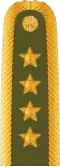 Armádní generál (Army of the Czech Republic)[11]
