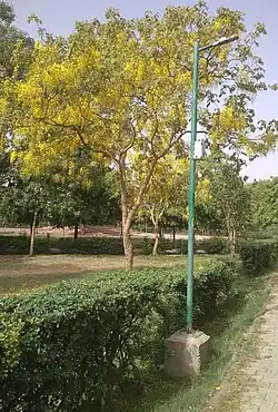 56 Bigha Park M Block