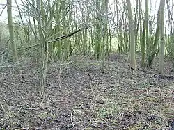 A shallow barrow at Danes Graves