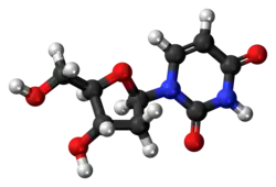 Ball-and-stick model of the deoxyuridine molecule