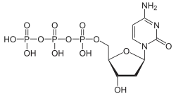 Skeletal formula of deoxycytidine triphosphate