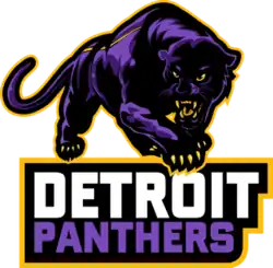 Detroit Panthers logo