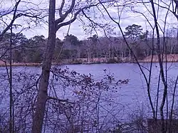 Image of Dirickson Creek