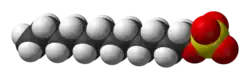 Space-filling model of the dodecyl sulfate ion