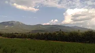 Apple orchard in Dolna Bela Crkva