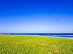 Covelong Beach during Mid-day