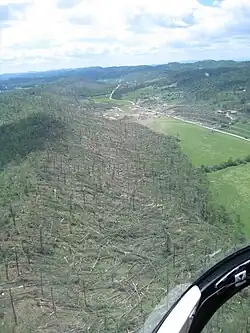 A row of downed trees, seen from an aerial view.