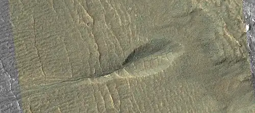 Small gully This gully may be in its initial state of formation.