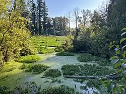 Restoration of wetland habitat was a major focus of the park upgrades (2018–2024).