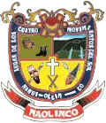 Official seal of Naolinco