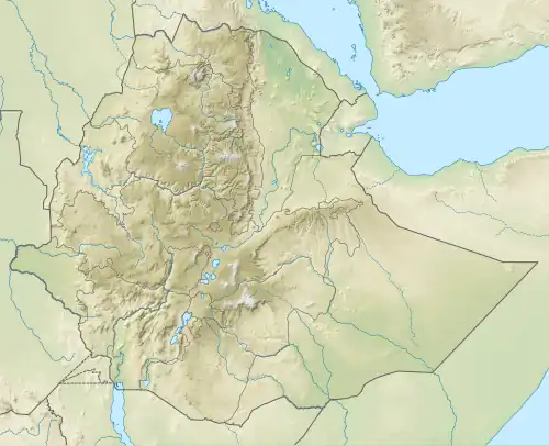 Middle Awash is located in Ethiopia