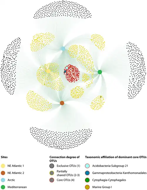 OTU (operational taxonomic unit) network of the extracellular DNA pools from the sediments of the different continental margins.[148]