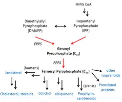 FPPS Biosynthetic Pathways