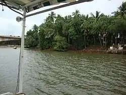 Godavari River backwaters near Dindi