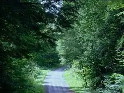 McCollum Road in Farmington Township