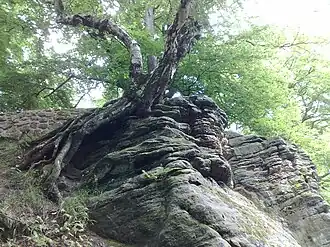 Rock formation at the Jägerhaus above St Hubert's Chapel (and St. Hubert's Grotto)