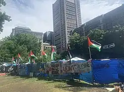 A tall fence obstructed by blue tarp and covered in signs and Palestinian flags