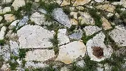 Flagging for a patio, Ellis Co.