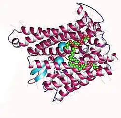 This image depicts the structure of Ferroportin with Hepcidin bound. The original image was modified to exclude the Fragment Antigen used to image the protein.