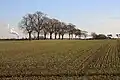 Fornham All Saints wheat fields, British Sugar factory chimney in the distance (2007)
