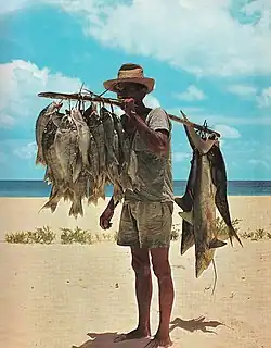 Fisherman and his catch, Seychelles. The fish, including small sharks, were hooked on hand lines many miles off shore.