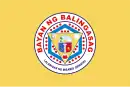 Flag of Balingasag