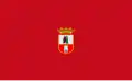 Flag of Dos Hermanas
