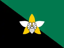 Flag of Enga Province