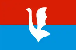 Flag of Gus-Khrustalny