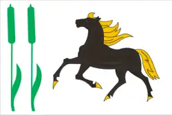 Flag of Kamyshlinsky District