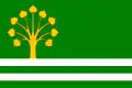 Flag of Lužec nad Cidlinou