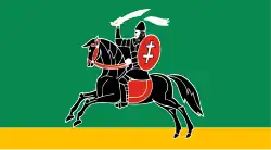 Flag of Nevelsky District