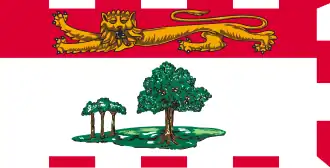 Common variant flag with an incorrect 1:2 size[13][14]