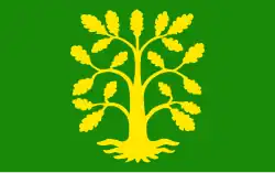 Flag of Vest-Agder County