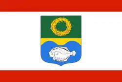 Flag of Zelenogradsky District