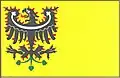 Flag of Zlonín