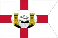 House flag of the City of Cork Steam Packet Company (dissolved 1969)