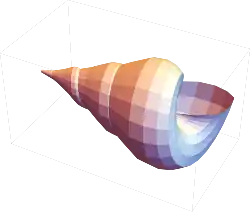graphics complex of a seashell with flat shading modeled in Mathematica