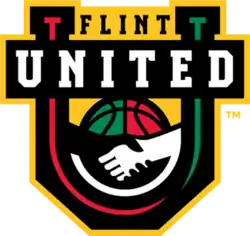 Flint United logo