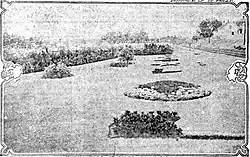 Garden arrangements next to a railway line