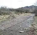 Florida Canyon Wash in March 2014.