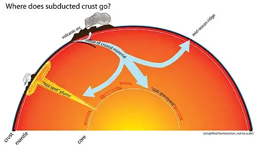 Movement of oceanic plates—which carry carbon compounds—through the mantle