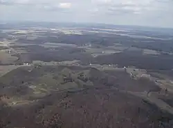 Forests in southeastern Washington Township
