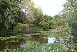 El Renacer de la Laguna, an experimental reserve model located within FVET premises