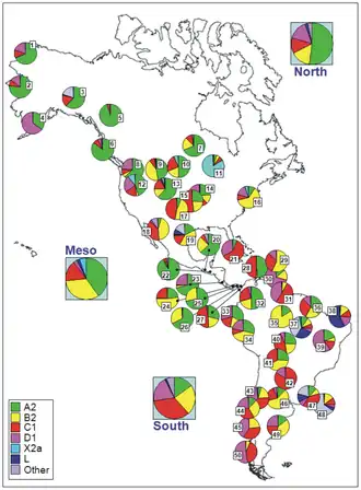 Codes for populations are as follow: North America: 1 = Chukchy, 2 = Eskimos; 3 = Inuit (collected from the HvrBase database; 4 = Aleuts; 5 = Athapaskan; 6 = Haida; 7 = Apache, 8 = Bella Coola; 9 = Navajo; 10 = Sioux, 11 = Chippewa, 12 = Nuu-Chah-Nult; 13 = Cheyenne; 14 = Muskogean populations; 15 = Cheyenne-Arapaho; 16 = Yakima; 17 = Stillwell Cherokee; Meso-America: 18 = Pima; 19 = Mexico; 20 = Quiche; 21 = Cuba; 22 = El Salvador; 23 = Huetar; 24 = Emberá; 25 = Kuna; 26 = Ngöbé; 27 = Wounan; South America: 28 = Guahibo; 29 = Yanomamo from Venezuela; 30 = Gaviao; 31 = Yanomamo from Venezuela and Brazil; 32 = Colombia; 33 = Ecuador (general population), 34 = Cayapa; 35 = Xavante; 36 = North Brazil; 37 = Brazil; 38 = Curiau; 39 = Zoró; 40 = Ignaciano, 41 = Yuracare; 42 = Ayoreo; 43 = Araucarians; 44 = Pehuenche, 45 = Mapuche from Chile; 46 = Coyas; 47 = Tacuarembó; 48 = Uruguay; 49 = Mapuches from Argentina; 50 = Yaghan