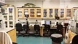 Lab room at the aquarium