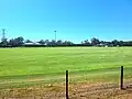 AFL field looking towards the clubhouse