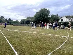 No Goats were harmed in the making of this photo